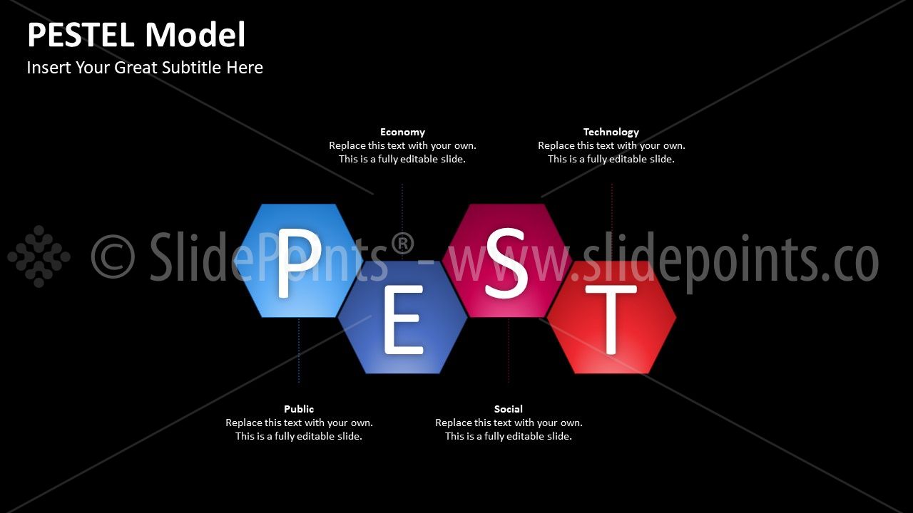 PEST-PESTEL Model PowerPoint Editable Templates (21)