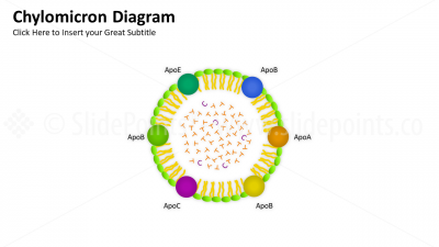 Medicine Blood and Immune System PowerPoint Editable Templates (11)