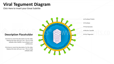 Medicine Embryology and Biology PowerPoint Editable Templates (19) Medicine Embryology and Biology PowerPoint Editable Templates (19)