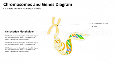 Medicine Embryology and Biology PowerPoint Editable Templates (5) Medicine Embryology and Biology PowerPoint Editable Templates (5)