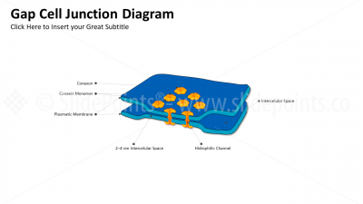 Medicine Embryology and Biology PowerPoint Editable Templates (6) Medicine Embryology and Biology PowerPoint Editable Templates (6)