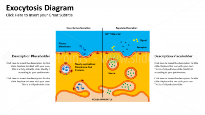 Medicine Embryology and Biology PowerPoint Editable Templates (7) Medicine Embryology and Biology PowerPoint Editable Templates (7)