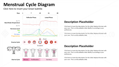 Medicine Endocrine System PowerPoint Editable Templates (5) Medicine Endocrine System PowerPoint Editable Templates (5)