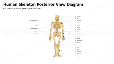 Medicine Library Vector Based PowerPoint Editable Templates (128)